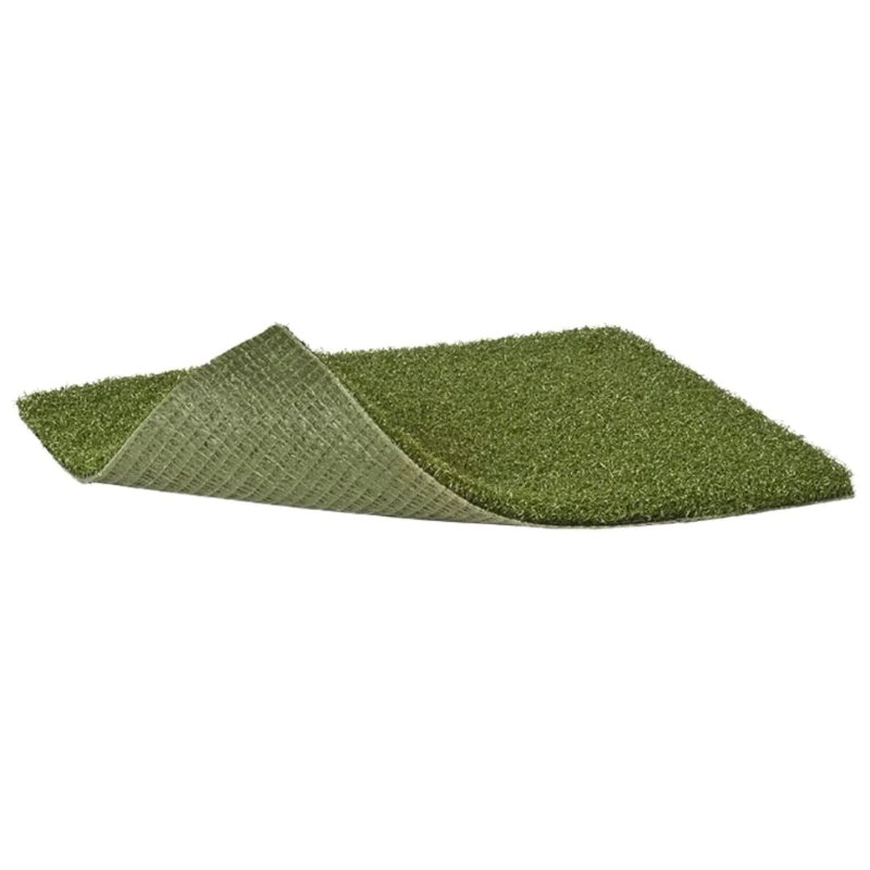 Money Putt Golf Turf - Image 1